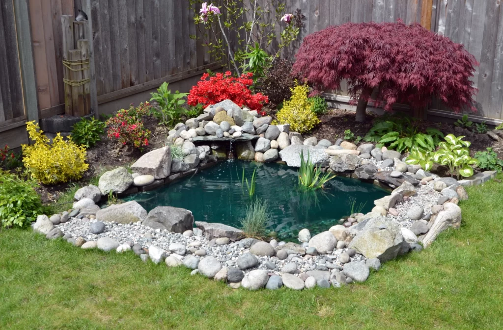 pond