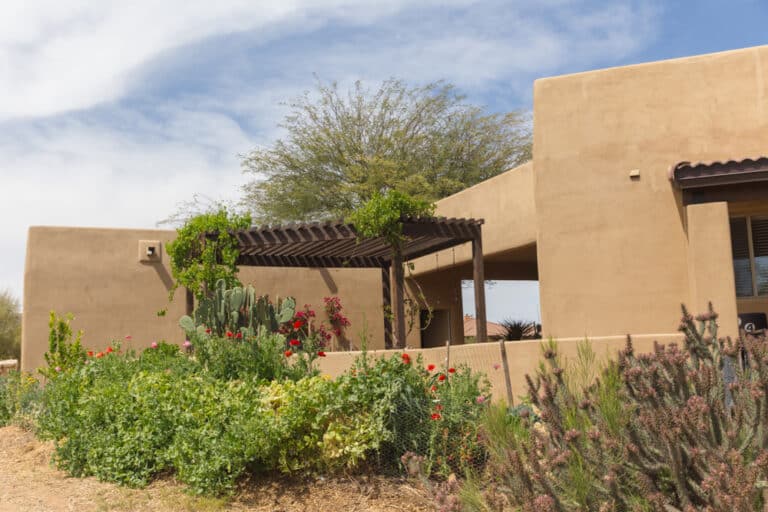 Back,Yard,Of,Stucco,,Spanish,,Or,Drought-Tolerant & Native Landscaping for Your Backyard Design Near Me ,Style,Home.