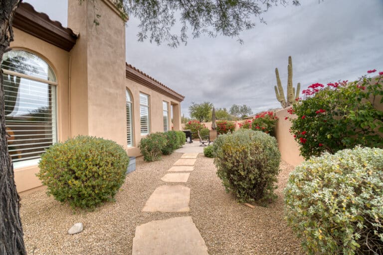 A,Beautiful,Day,In,Drought-Tolerant & Native Landscaping for Your Backyard Design Near Me