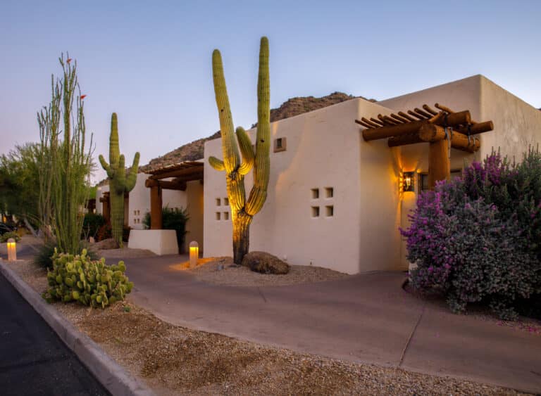 Drought-Tolerant & Native Landscaping for Your Backyard Design Near Me ,Resort,With,Cactus