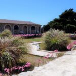 Drought-Tolerant & Native Landscaping for Your Backyard Design Near Me